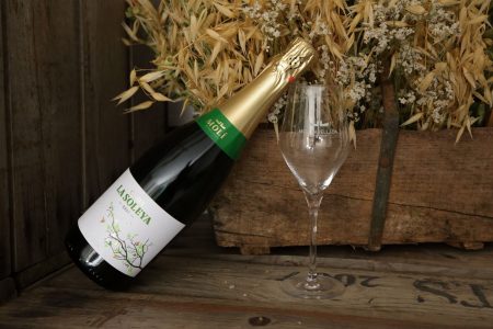 MOLÍ PARELLADA CLOS LA SOLEYA CAVA BRUT - obrazek 3