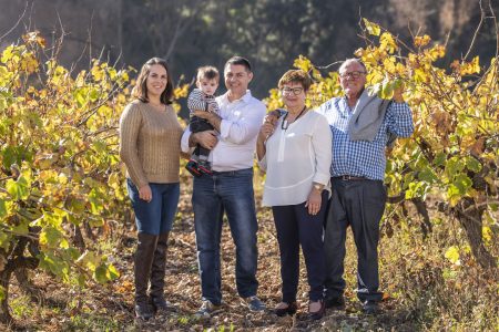 MOLÍ PARELLADA BOQUERIA 100% MACABEO CAVA RESERVA BRUT NATURE ECO - obrazek 6