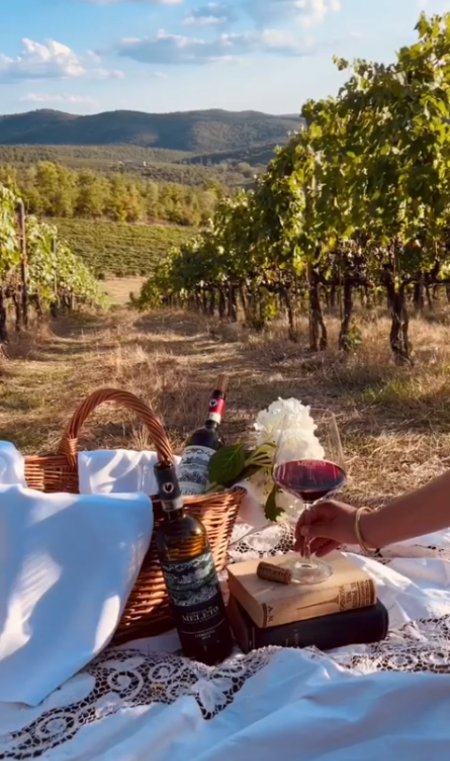 CASTELLO DI MELETO CHIANTI CLASSICO RISERVA DOCG - obrazek 10