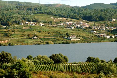 BODEGAS VILLANUEVA VILLANUEVA ALBARIÑO D.O. RIAS BAIXAS - obrazek 11