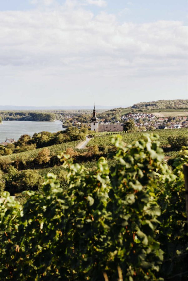 ST. ANTONY RIESLING K.O.S FEINHERB RHEINHESSEN
