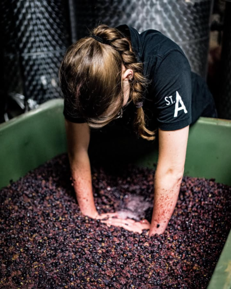 ST. ANTONY NIERSTEIN BLAUFRÄNKISCH RHEINHESSEN - obrazek 9