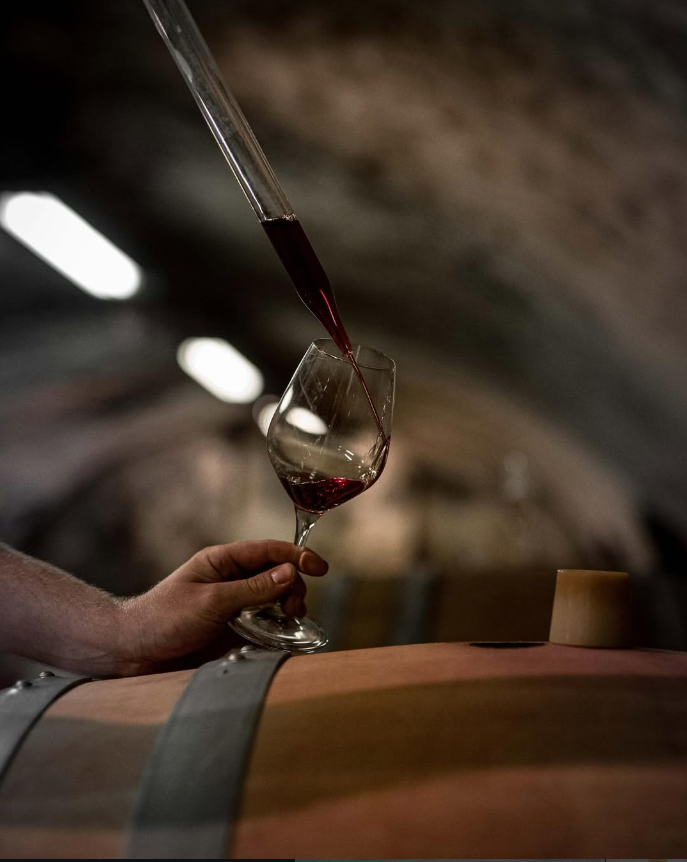 ST. ANTONY NIERSTEIN BLAUFRÄNKISCH RHEINHESSEN - obrazek 14