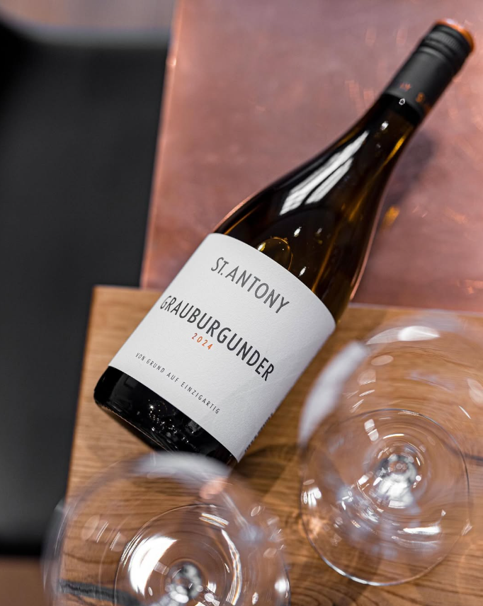 ST. ANTONY GRAUBURGUNDER RHEINHESSEN - obrazek 3