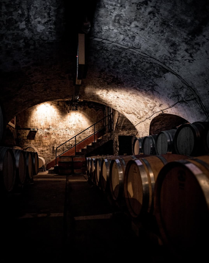 ST. ANTONY NIERSTEIN BLAUFRÄNKISCH RHEINHESSEN - obrazek 11