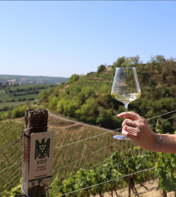 ST. ANTONY BRUDERSBERG RIESLING (GG) VDP.GROSSES GEWÄCHS® RHEINHESSEN
