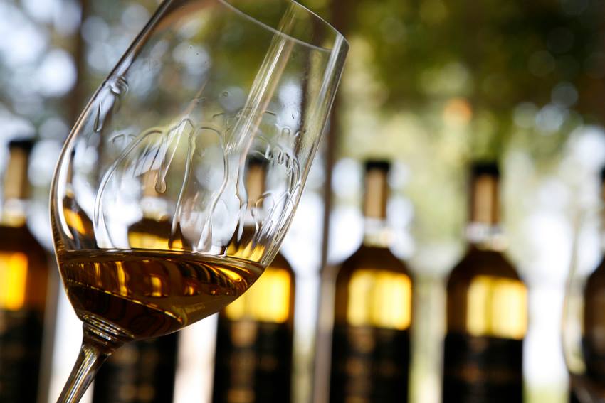 CHÂTEAU GUIRAUD SAUTERNES 1ER CRU CLASSÉ - obrazek 7