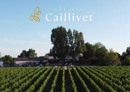 CHÂTEAU CAILLIVET LE BLANC QUI TACHE BLANC DE NOIR GRAVES - obrazek 9