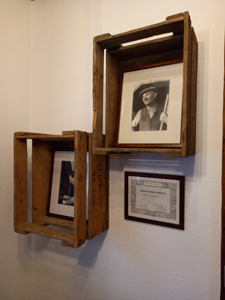 DOMAINE RENÉ FLECK ET FILLE RIESLING BIO "CUVEÉ LOUIS" GRAND CRU ZINNKOEPFLÉ - obrazek 8