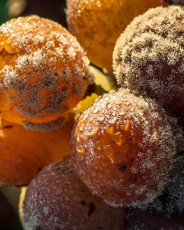 CHÂTEAU GUIRAUD SAUTERNES 1ER CRU CLASSÉ