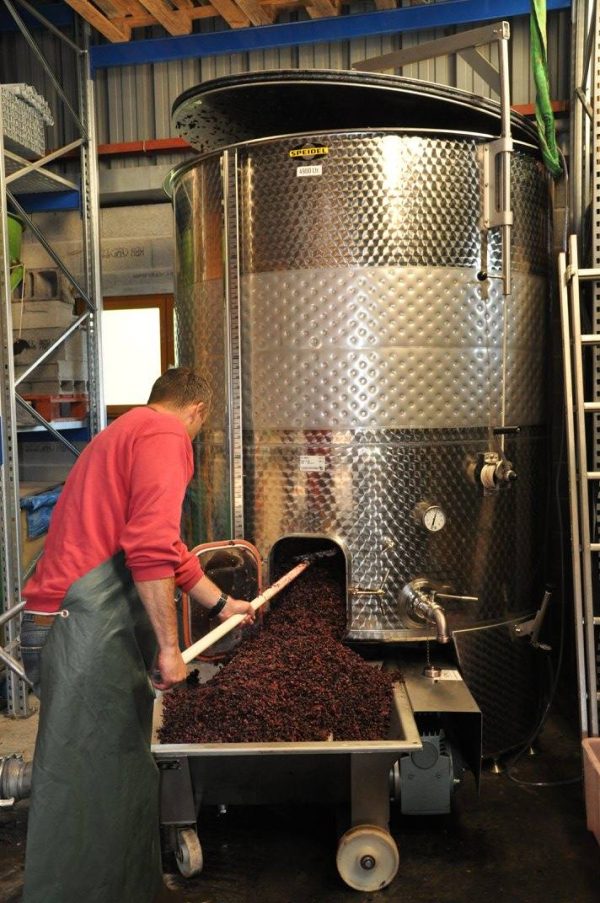 DOMAINE RENÉ FLECK ET FILLE PINOT NOIR OPULENTUS BIO ALSACE AOC ROUGE