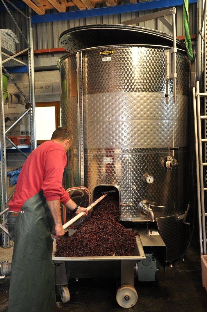 DOMAINE RENÉ FLECK ET FILLE PINOT NOIR OPULENTUS BIO ALSACE AOC ROUGE - obrazek 9