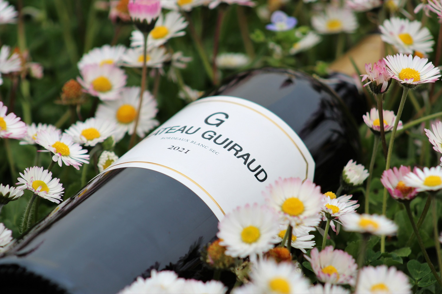 CHÂTEAU GUIRAUD G DE CHÂTEAU GUIRAUD BORDEAUX BLANC SEC - obrazek 8