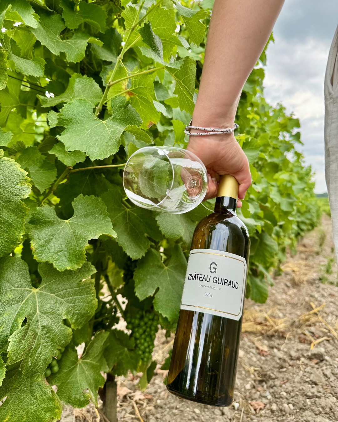 CHÂTEAU GUIRAUD G DE CHÂTEAU GUIRAUD BORDEAUX BLANC SEC - obrazek 2