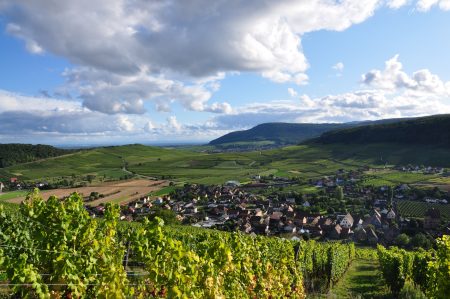 DOMAINE RENÉ FLECK ET FILLE RIESLING BIO "CUVEÉ LOUIS" GRAND CRU ZINNKOEPFLÉ - obrazek 7