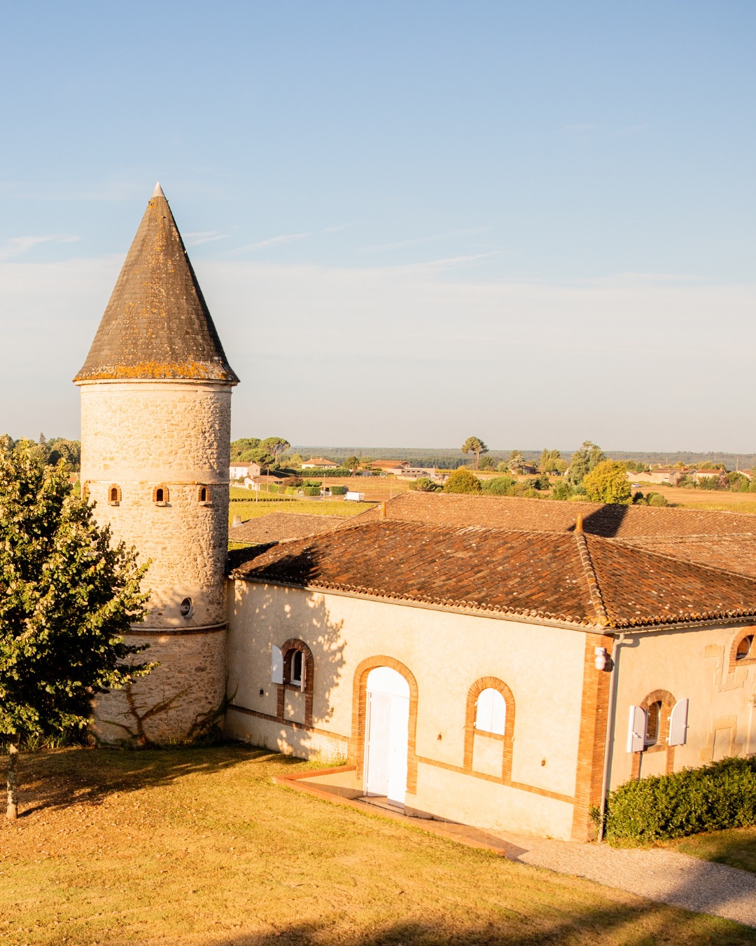CHÂTEAU GUIRAUD SAUTERNES 1ER CRU CLASSÉ - obrazek 20
