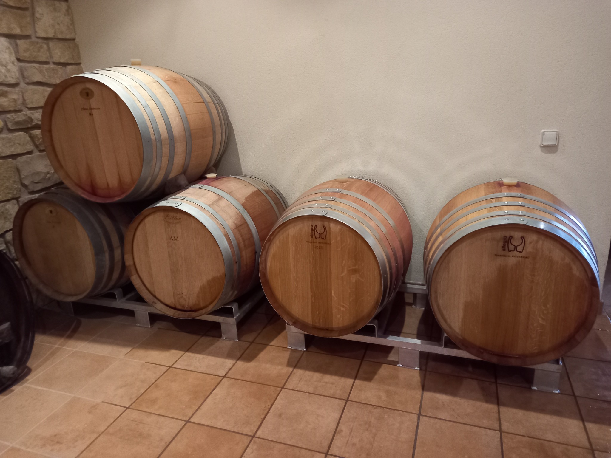 DOMAINE RENÉ FLECK ET FILLE PINOT NOIR OPULENTUS BIO ALSACE AOC ROUGE - obrazek 11