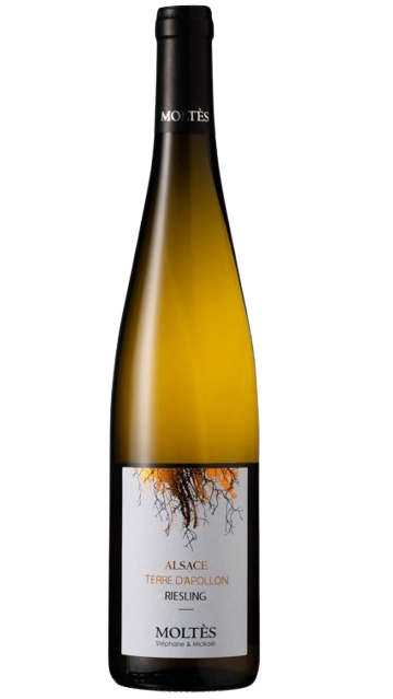 MOLTÈS RIESLING TERRE D'APOLLON TERROIR AOC ALSACE BIO
