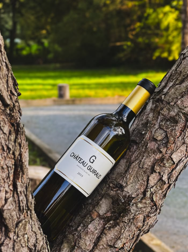 CHÂTEAU GUIRAUD G DE CHÂTEAU GUIRAUD BORDEAUX BLANC SEC