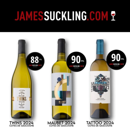 MAISON FONTAN TATTOO BLANC SAUVIGNON - GROS MANSENG CÔTES DE GASCOGNE - obrazek 2