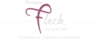 DOMAINE RENÉ FLECK ET FILLE RIESLING BIO "CUVEÉ LOUIS" GRAND CRU ZINNKOEPFLÉ - obrazek 9