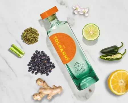 TOLMANN'S PREMIUM GIN - obrazek 2