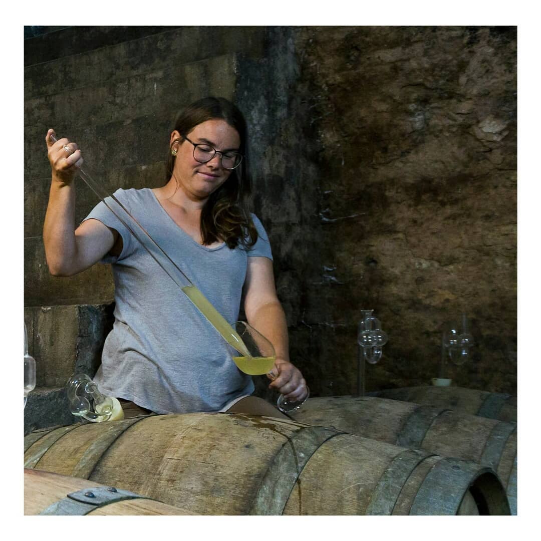 WEINGUT MEISER GELBER MUSKATELLER TROCKEN - obrazek 8