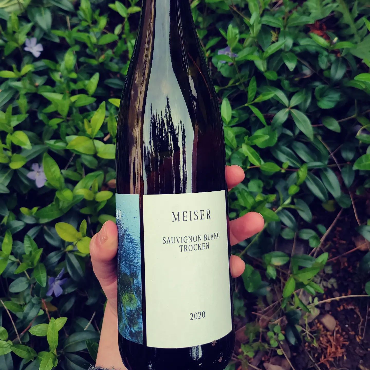 WEINGUT MEISER SAUVIGNON BLANC TROCKEN - obrazek 2