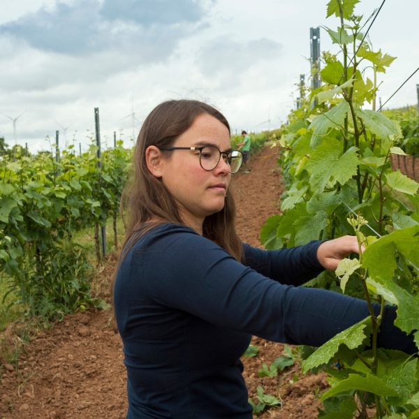 WEINGUT MEISER GELBER MUSKATELLER TROCKEN