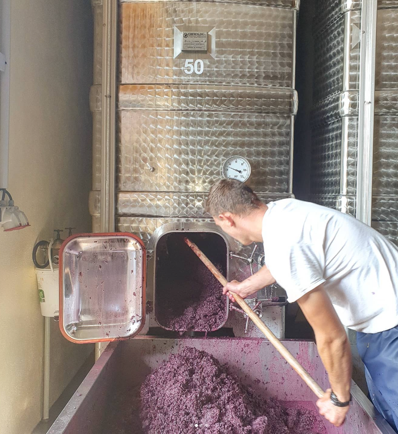 MOLTÈS PINOT NOIR SONNENGLAENZLÉ TERROIR AOC ALSACE BIO - obrazek 6
