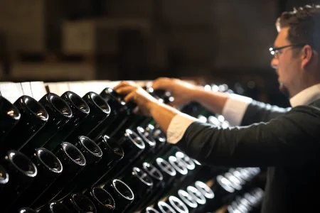 WEIN-UND SEKTGUT BARTH RIESLING FRUCTUS BIO RHEINGAU - obrazek 10