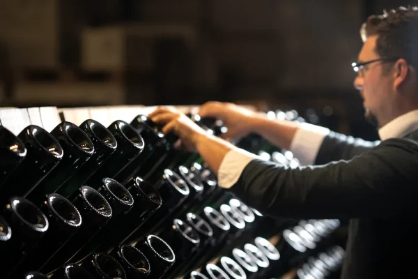 WEIN-UND SEKTGUT BARTH RIESLING FRUCTUS BIO RHEINGAU