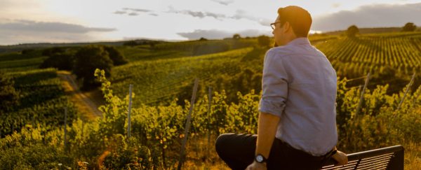 WEIN-UND SEKTGUT BARTH RIESLING FRUCTUS BIO RHEINGAU