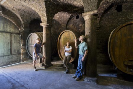 WEINGUT MEISER GELBER MUSKATELLER TROCKEN - obrazek 6