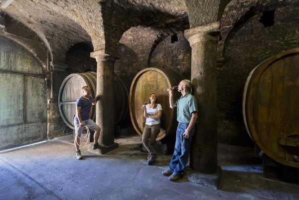 WEINGUT MEISER GELBER MUSKATELLER TROCKEN
