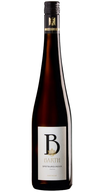 spatb WEIN-UND SEKTGUT BARTH SPÄTBURGUNDER (PINOT NOIR) TROCKEN VDP.GROSSE LAGEN BIO RHEINGAU