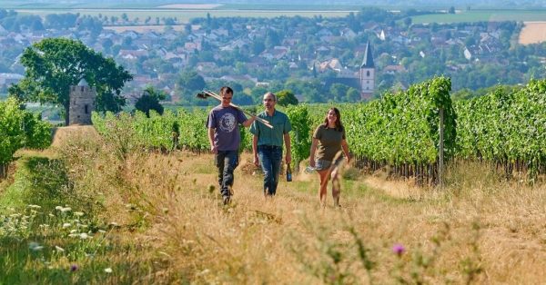 WEINGUT MEISER GELBER MUSKATELLER TROCKEN