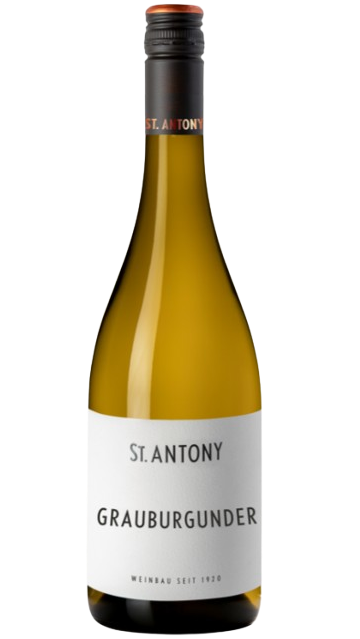 ST. ANTONY GRAUBURGUNDER RHEINHESSEN