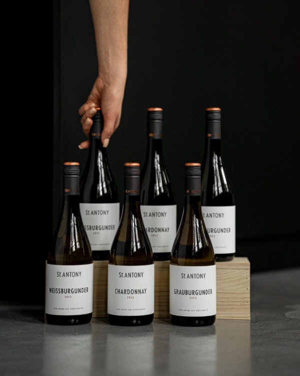 ST. ANTONY GRAUBURGUNDER RHEINHESSEN