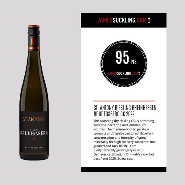 ST. ANTONY BRUDERSBERG RIESLING (GG) VDP.GROSSES GEWÄCHS® RHEINHESSEN