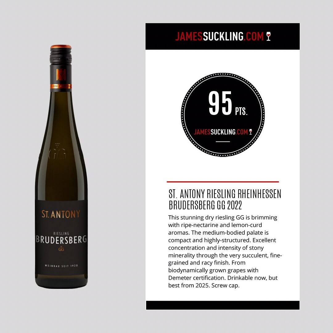 ST. ANTONY BRUDERSBERG RIESLING (GG) VDP.GROSSES GEWÄCHS® RHEINHESSEN - obrazek 3