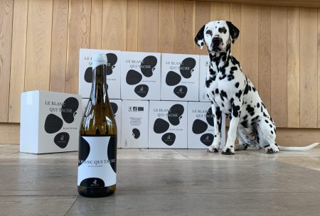 CHÂTEAU CAILLIVET LE BLANC QUI TACHE BLANC DE NOIR GRAVES - obrazek 3