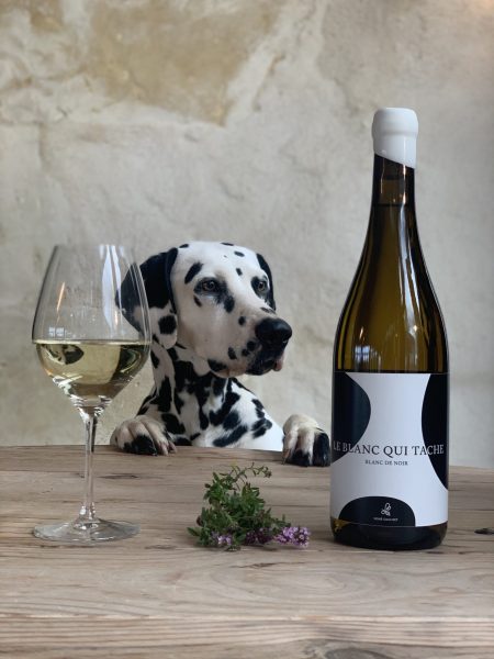 CHÂTEAU CAILLIVET LE BLANC QUI TACHE BLANC DE NOIR GRAVES - obrazek 2