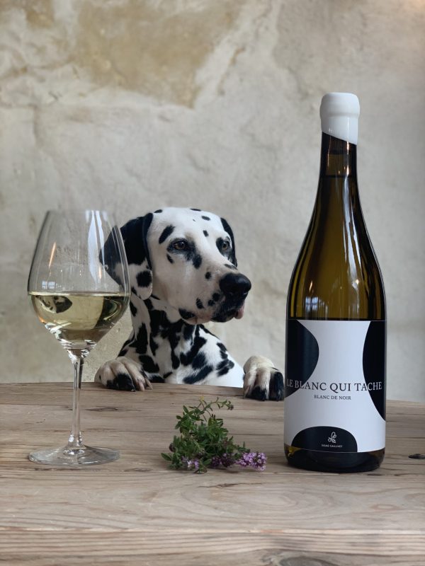 CHÂTEAU CAILLIVET LE BLANC QUI TACHE BLANC DE NOIR GRAVES