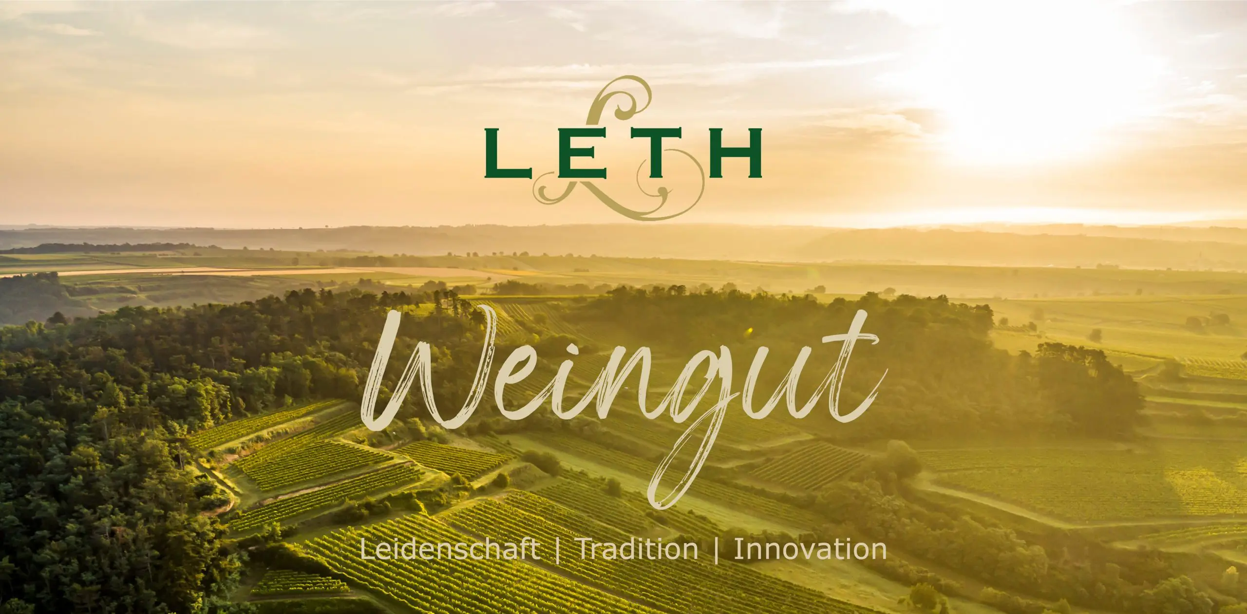 WEINGUT LETH RIED SCHILLINGSBERG RIESLING WAGRAM DAC - obrazek 11