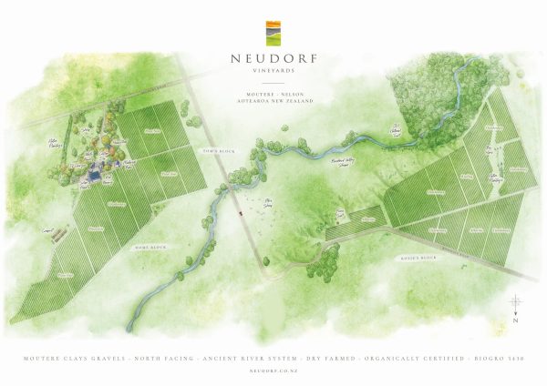 NEUDORF VINEYARDS TIRITIRI PINOT GRIS NELSON