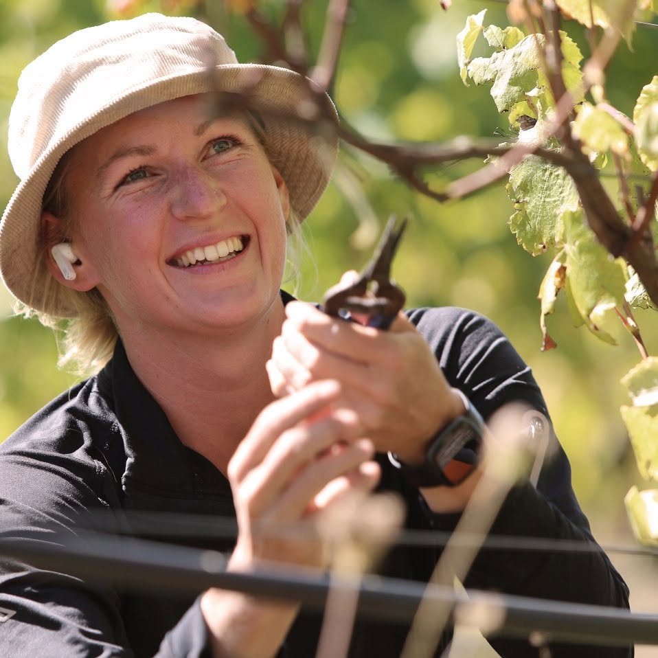 NEUDORF VINEYARDS TIRITIRI PINOT GRIS NELSON - obrazek 5