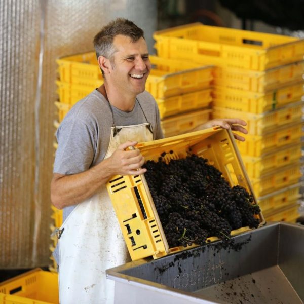 NEUDORF VINEYARDS TOM'S BLOCK MOUTERE PINOT NOIR NELSON